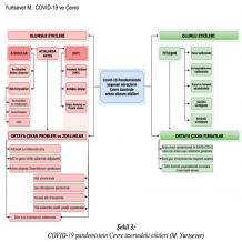 COVID19 Pandemisinin Çevre Üzerindeki Erken Dönem Etkileri Short-Term Effects of COVID-19 Pandemic on the Environment https://dergipark.org.tr/tr/pub/uumfd/issue/57911/781173